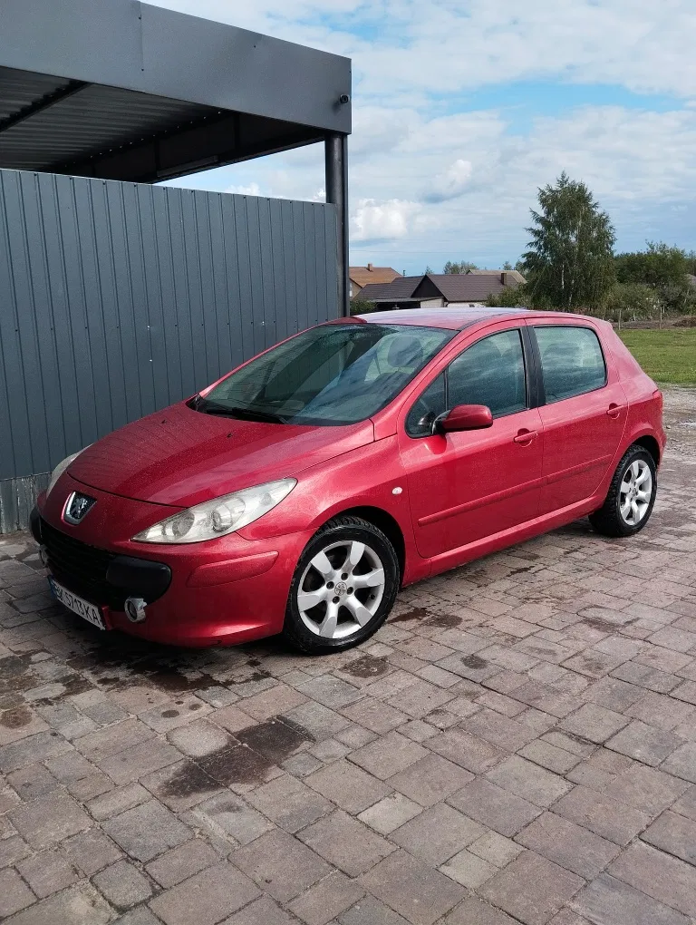 Фото 2005 Peugeot 307