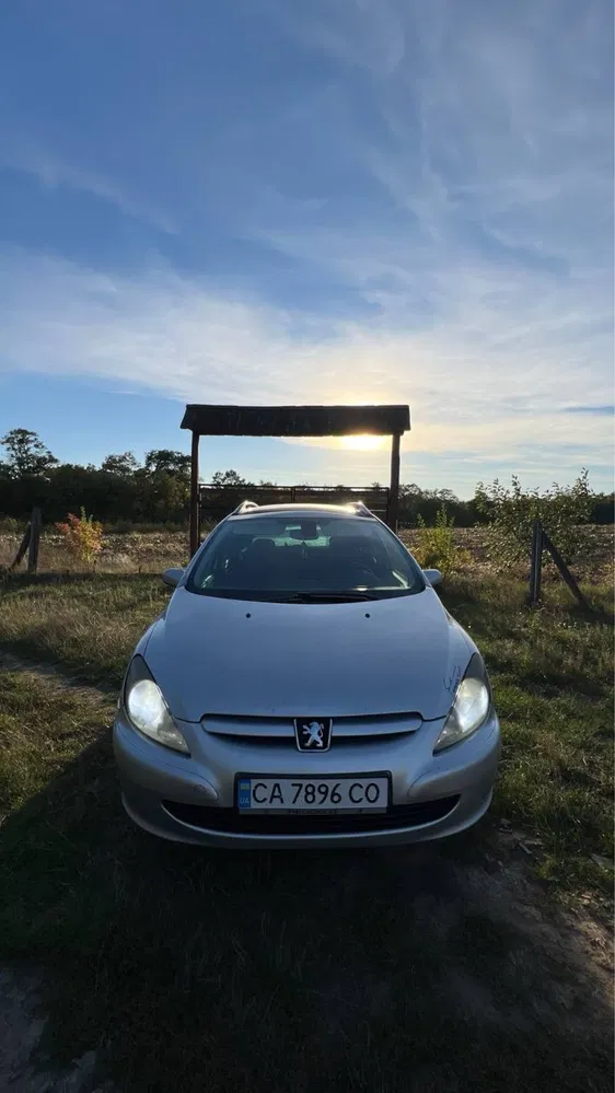 Фото 2004 Peugeot 307