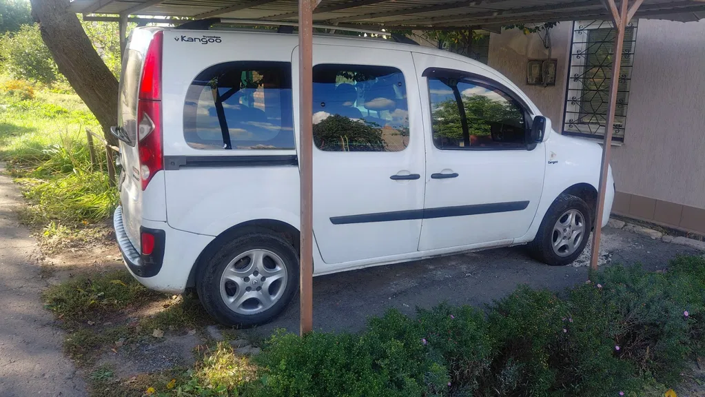 Фото 2010 Renault Kangoo Express