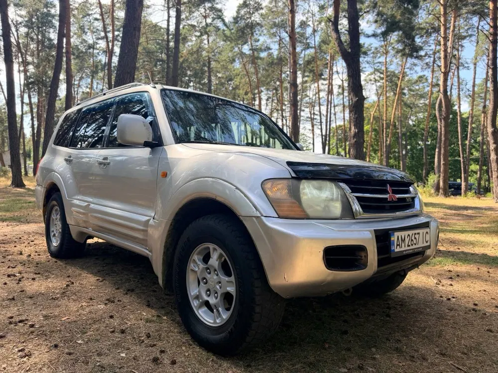 Фото 2002 Mitsubishi Pajero
