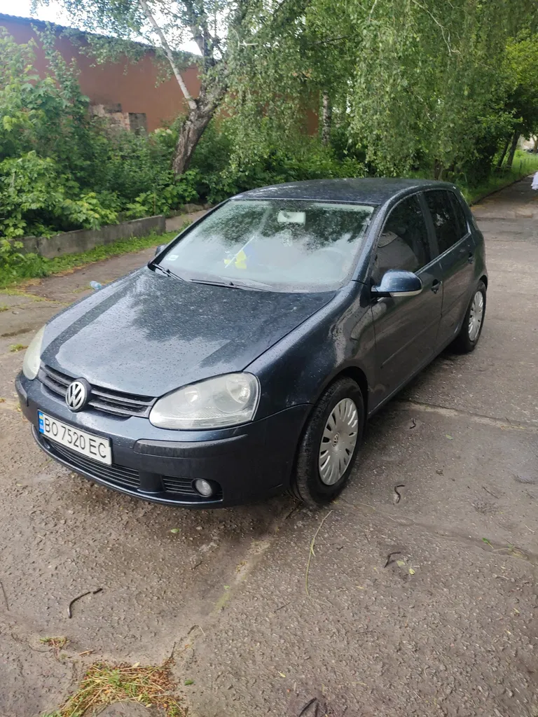 Фото 2004 Volkswagen Golf