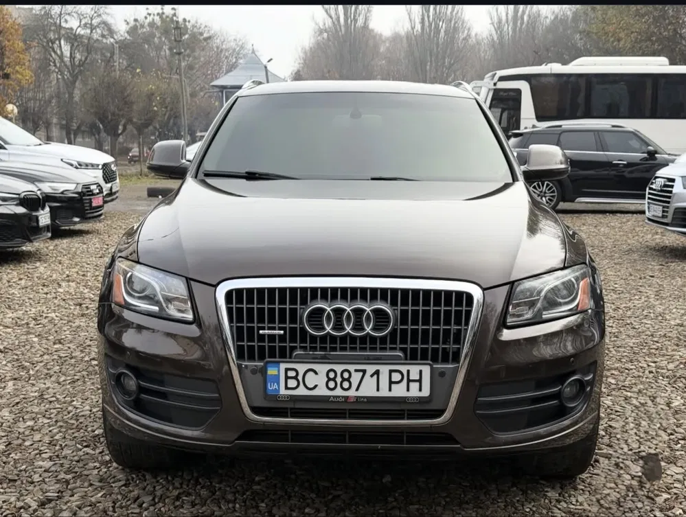 Фото 2010 Audi Q5
