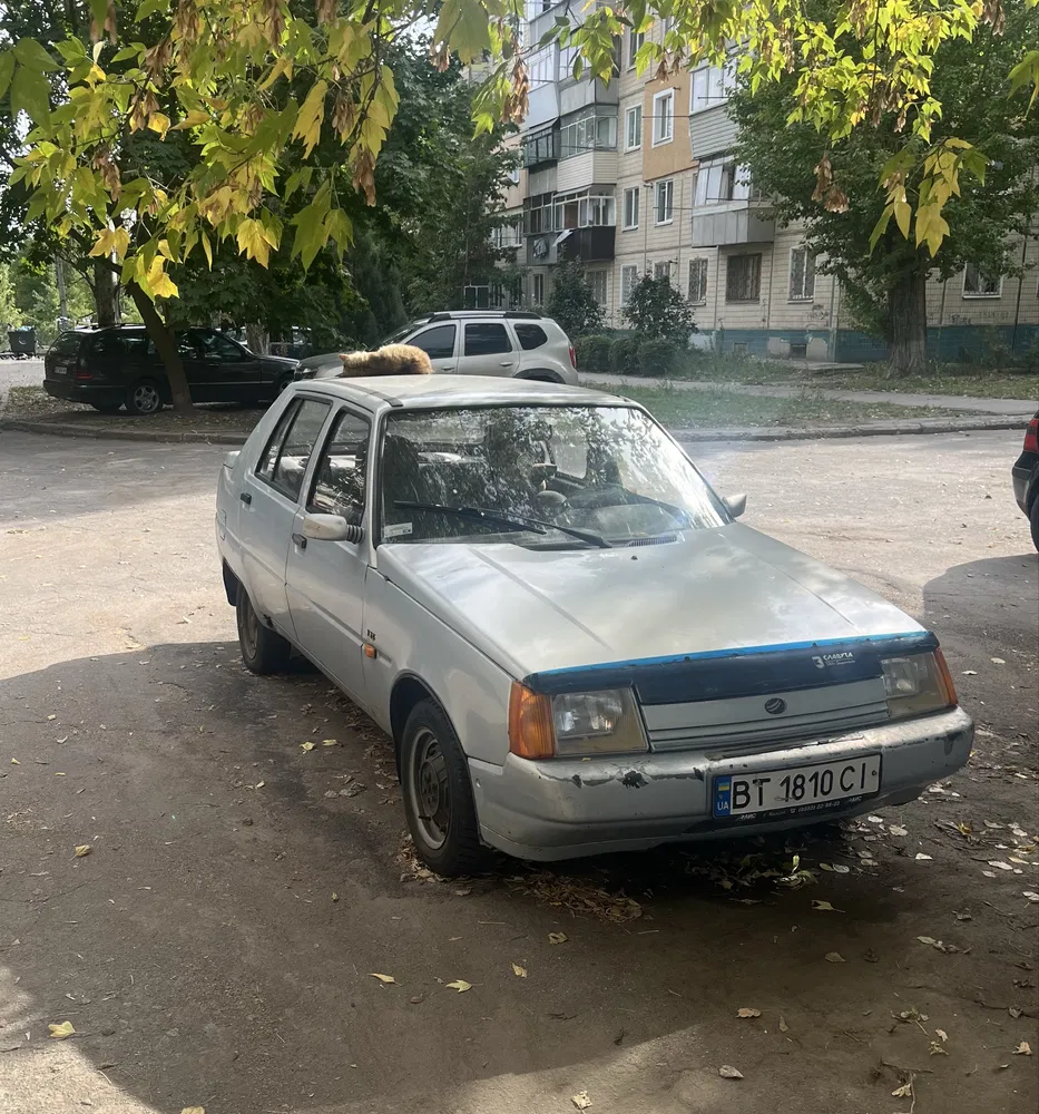 Фото 2004 ЗАЗ 1103 Slavuta