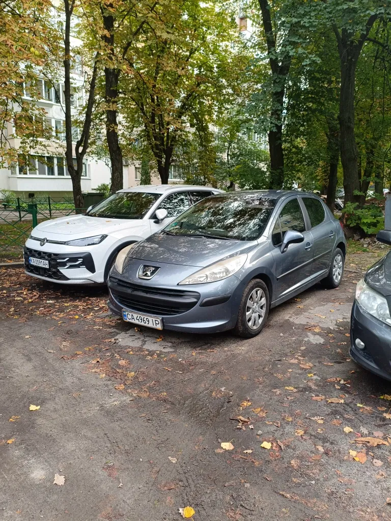 Фото 2008 Peugeot 207