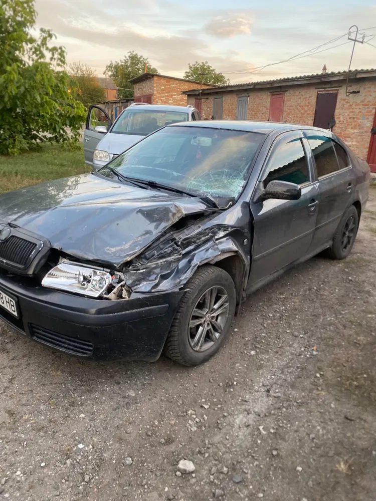 Фото 2008 Skoda Octavia