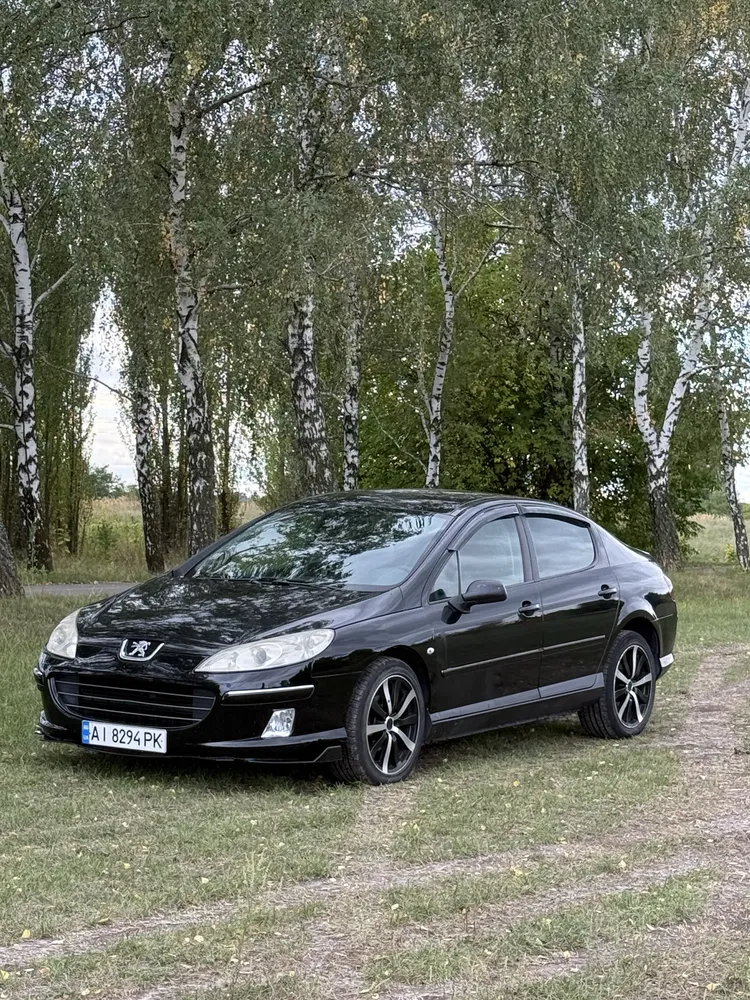 Фото 2007 Peugeot 407