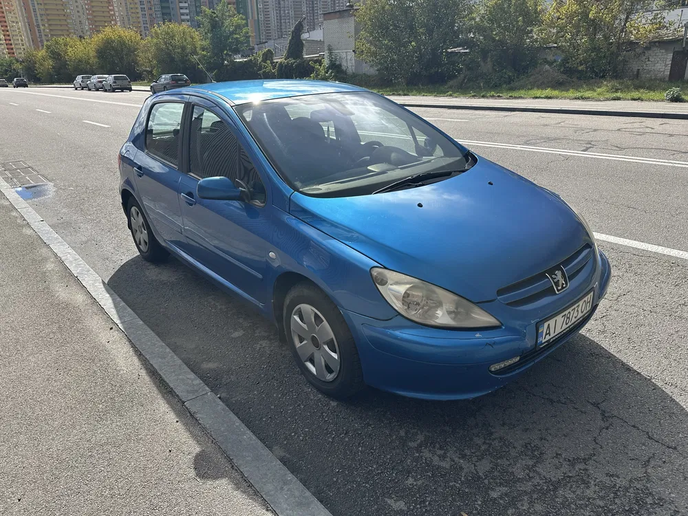 Фото 2004 Peugeot 307