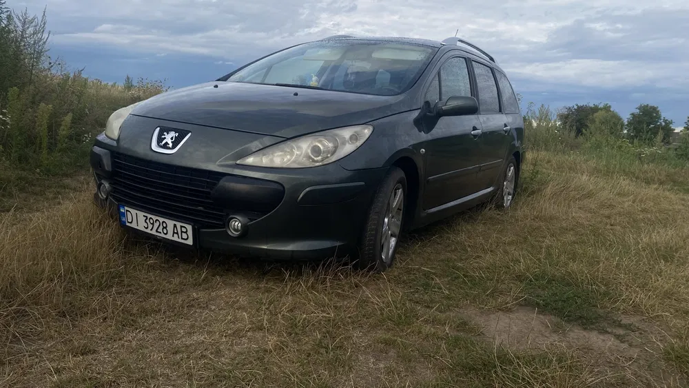 Фото 2007 Peugeot 307