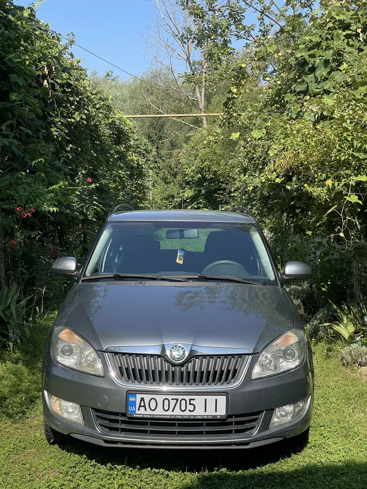 Фото 2011 Skoda Fabia