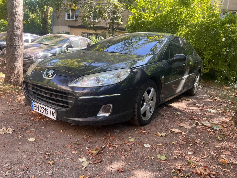Фото 2004 Peugeot 407
