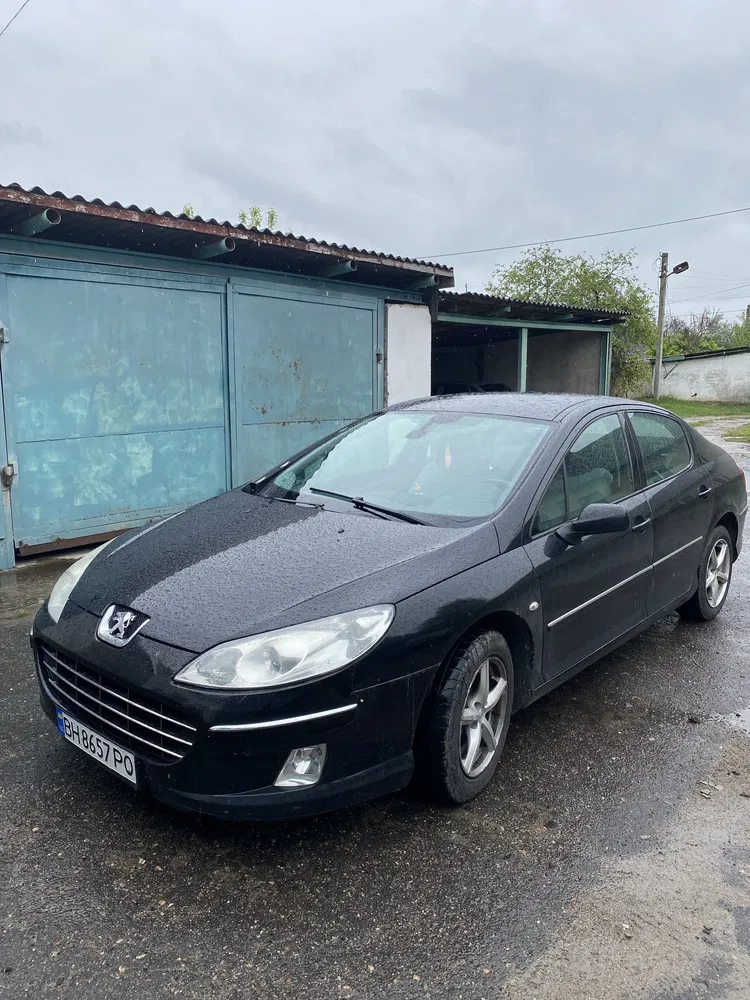Фото 2009 Peugeot 407