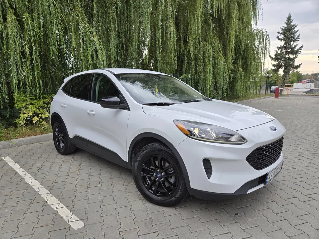 Фото 2019 Ford Escape
