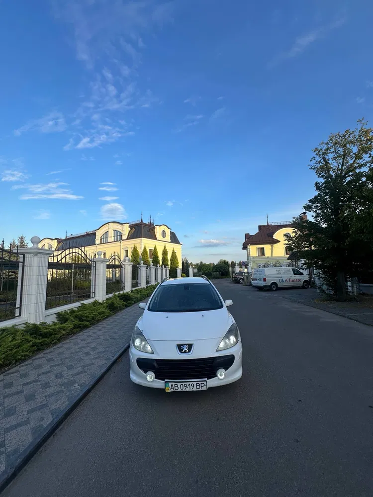 Фото 2008 Peugeot 307