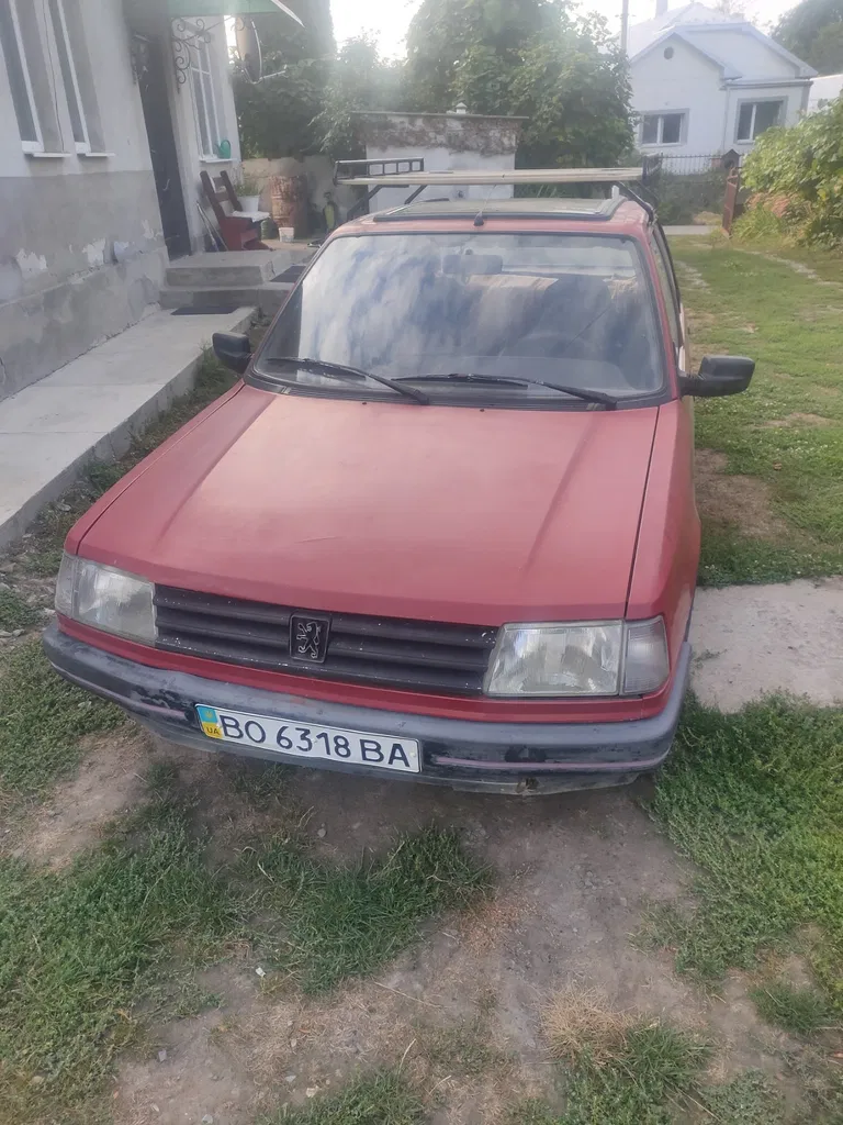 Фото 1988 Peugeot 309